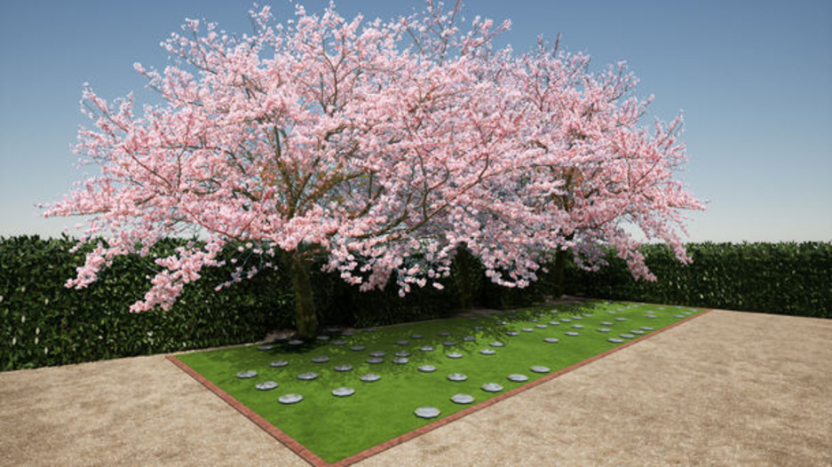 神戸西区　海と桜のメモリアル樹木葬